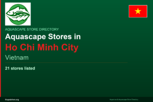 featured_ho-chi-minh-city_en - Aquascape & Planted Tank Guide