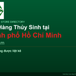 featured_ho-chi-minh-city_vi - Aquascape & Planted Tank Guide