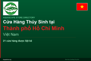 featured_ho-chi-minh-city_vi - Aquascape & Planted Tank Guide