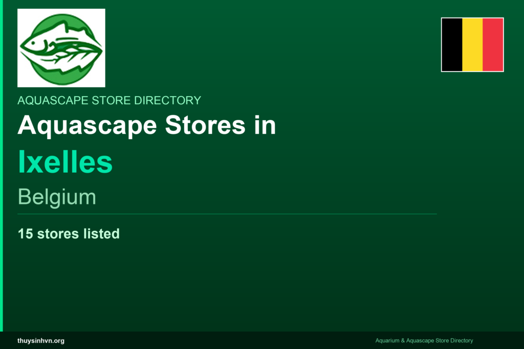 featured_ixelles_belgium - Aquascape & Planted Tank Guide