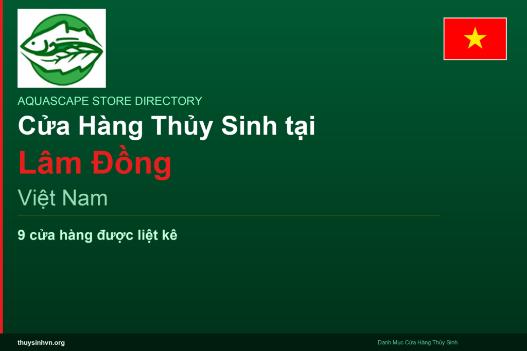featured_lam-dong_vi - Aquascape & Planted Tank Guide