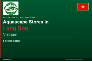featured_lang-son_en - Aquascape & Planted Tank Guide