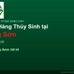 featured_lang-son_vi - Aquascape & Planted Tank Guide