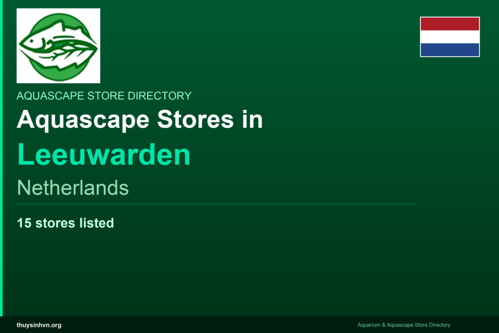 featured_leeuwarden_netherlands - Aquascape & Planted Tank Guide