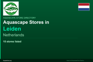 featured_leiden_netherlands - Aquascape & Planted Tank Guide