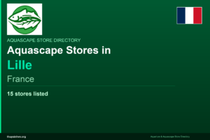 featured_lille_france - Aquascape & Planted Tank Guide