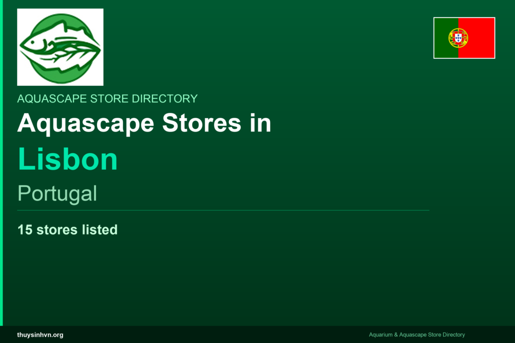 featured_lisbon_portugal - Aquascape & Planted Tank Guide