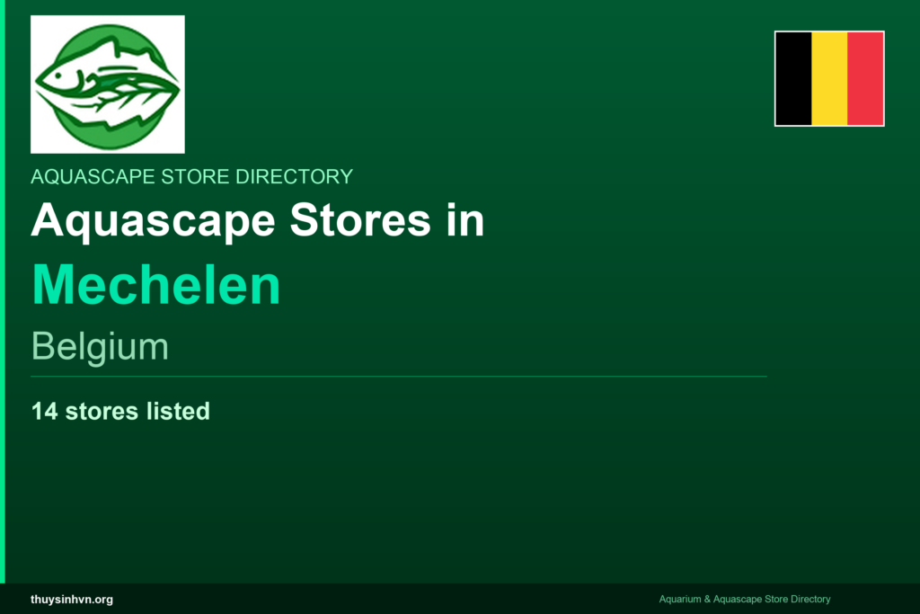 featured_mechelen_belgium - Aquascape & Planted Tank Guide