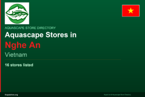 featured_nghe-an_en - Aquascape & Planted Tank Guide