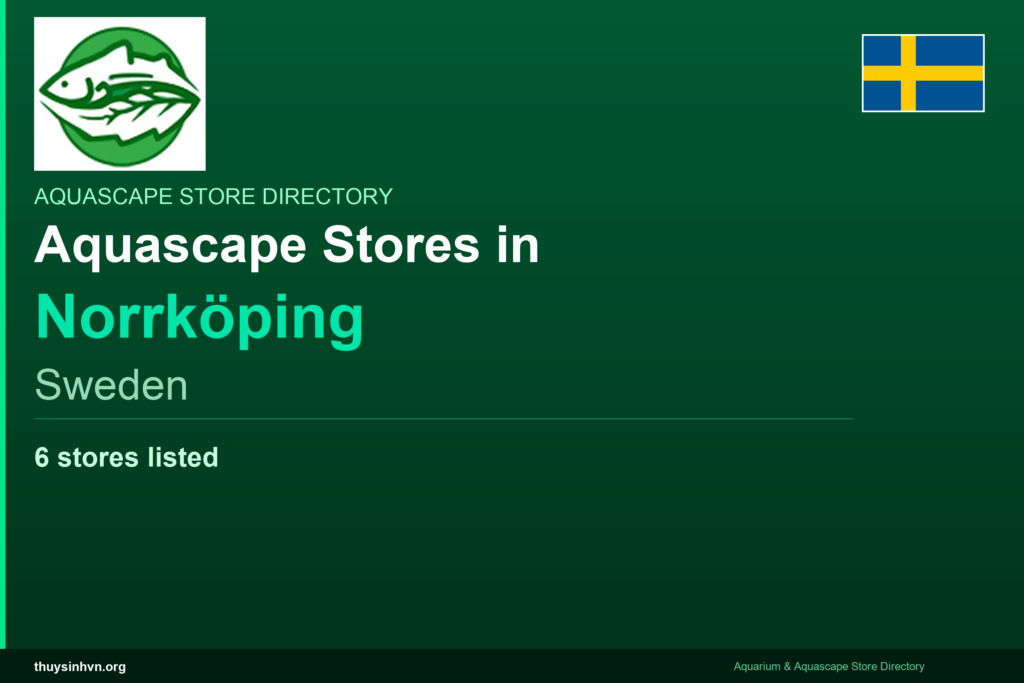 featured_norrköping_sweden - Aquascape & Planted Tank Guide