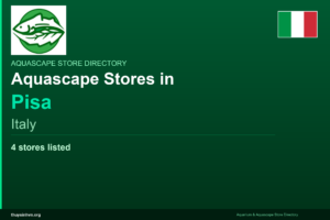 featured_pisa_italy - Aquascape & Planted Tank Guide