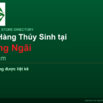 featured_quang-ngai_vi - Aquascape & Planted Tank Guide