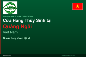 featured_quang-ngai_vi - Aquascape & Planted Tank Guide