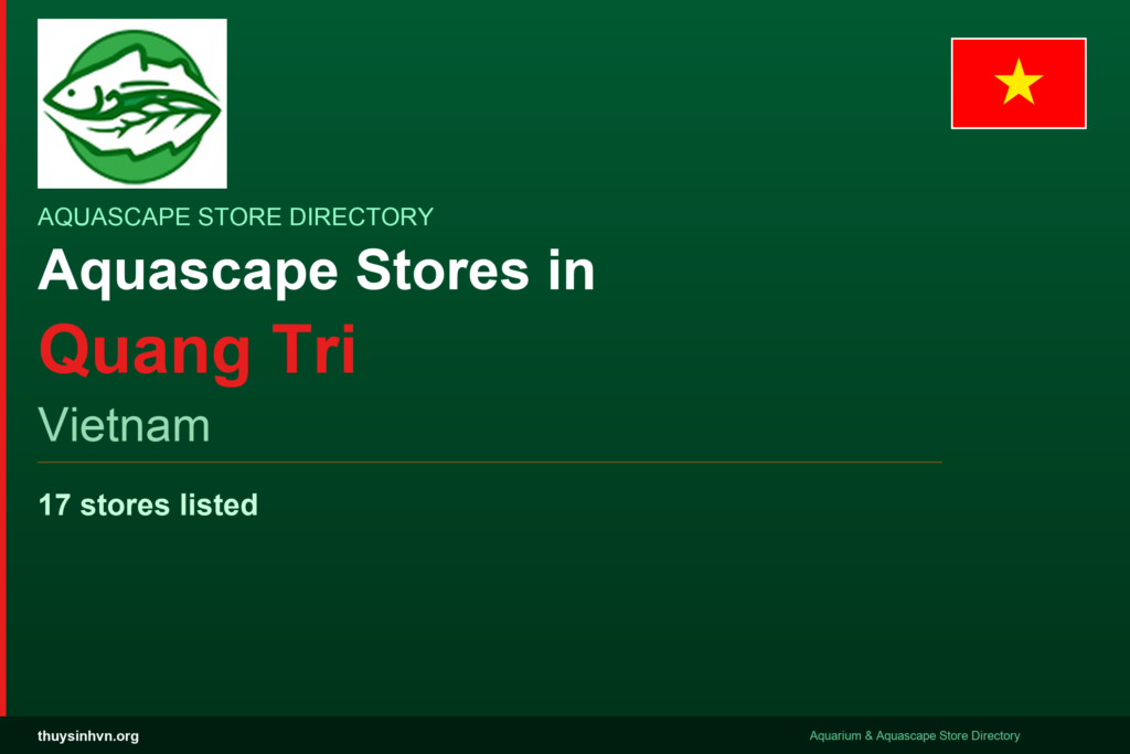 featured_quang-tri_en - Aquascape & Planted Tank Guide
