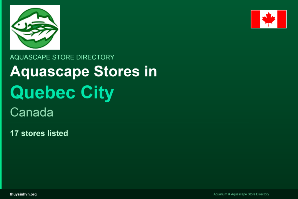 featured_quebec_city_canada - Aquascape & Planted Tank Guide