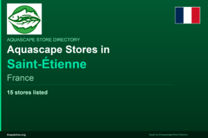 featured_saint-étienne_france - Aquascape & Planted Tank Guide