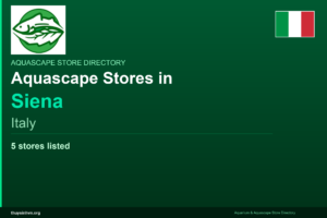 featured_siena_italy - Aquascape & Planted Tank Guide