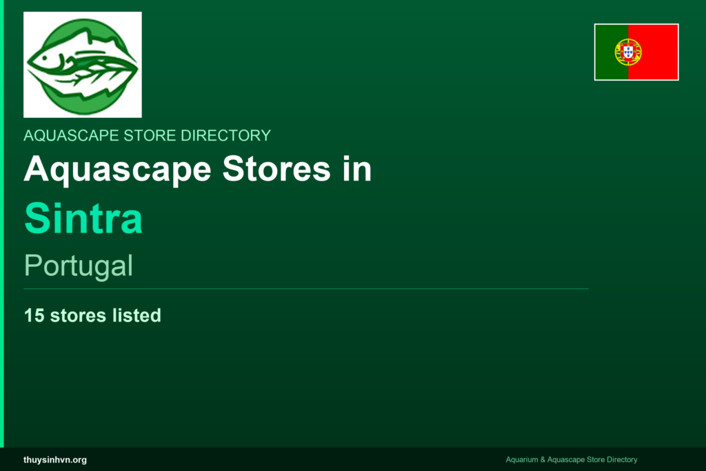 featured_sintra_portugal - Aquascape & Planted Tank Guide