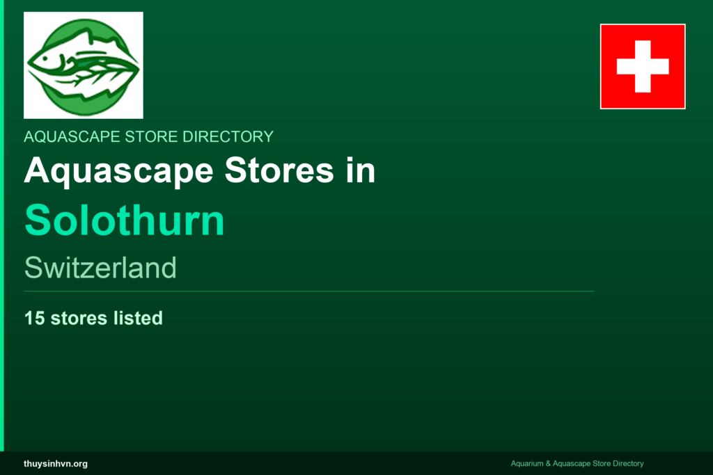 featured_solothurn_switzerland - Aquascape & Planted Tank Guide