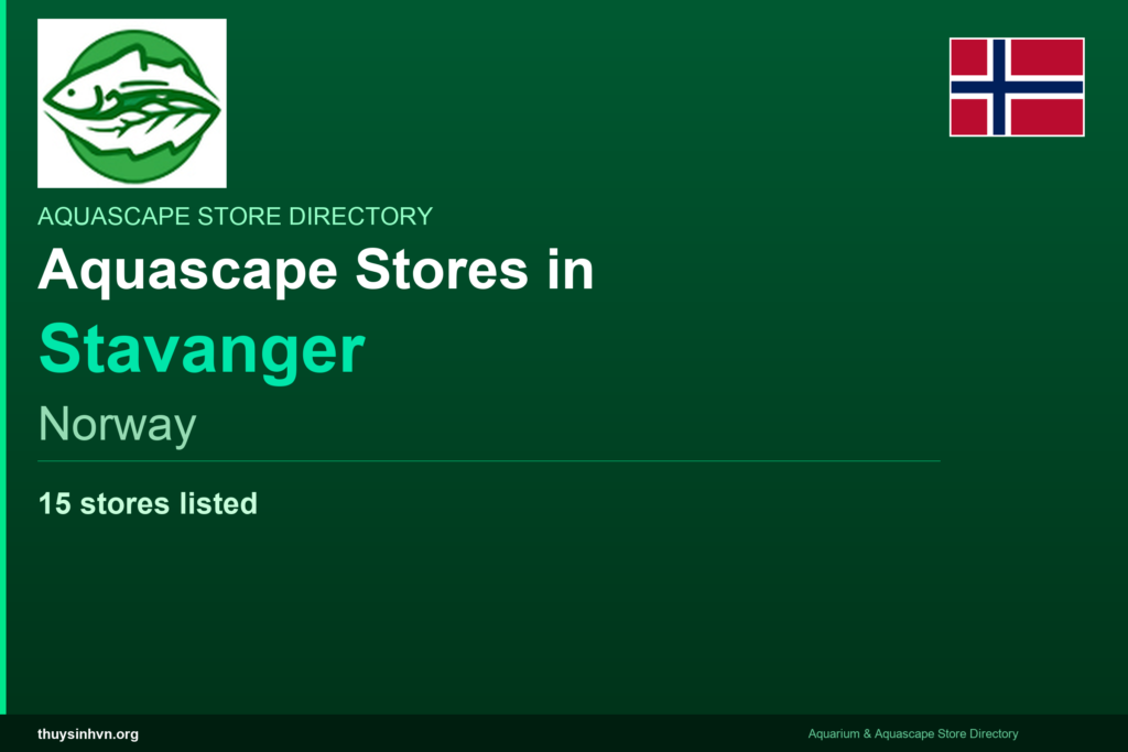 featured_stavanger_norway - Aquascape & Planted Tank Guide