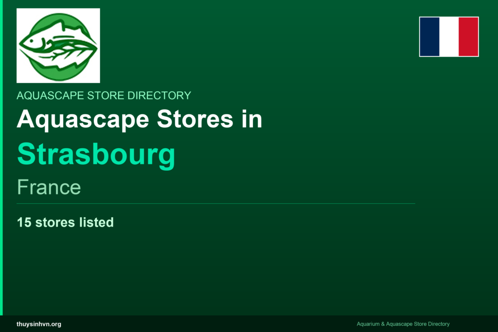 featured_strasbourg_france - Aquascape & Planted Tank Guide