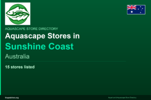 featured_sunshine_coast_australia - Aquascape & Planted Tank Guide
