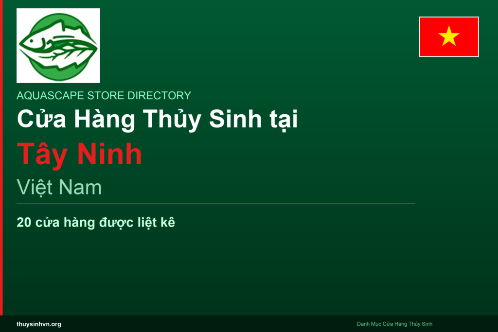 featured_tay-ninh_vi - Aquascape & Planted Tank Guide