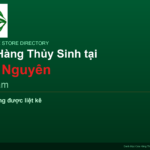 featured_thai-nguyen_vi - Aquascape & Planted Tank Guide