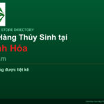 featured_thanh-hoa_vi - Aquascape & Planted Tank Guide