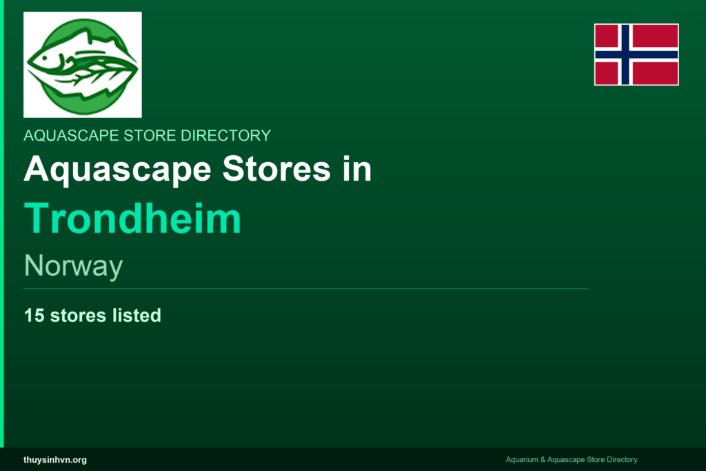 featured_trondheim_norway - Aquascape & Planted Tank Guide