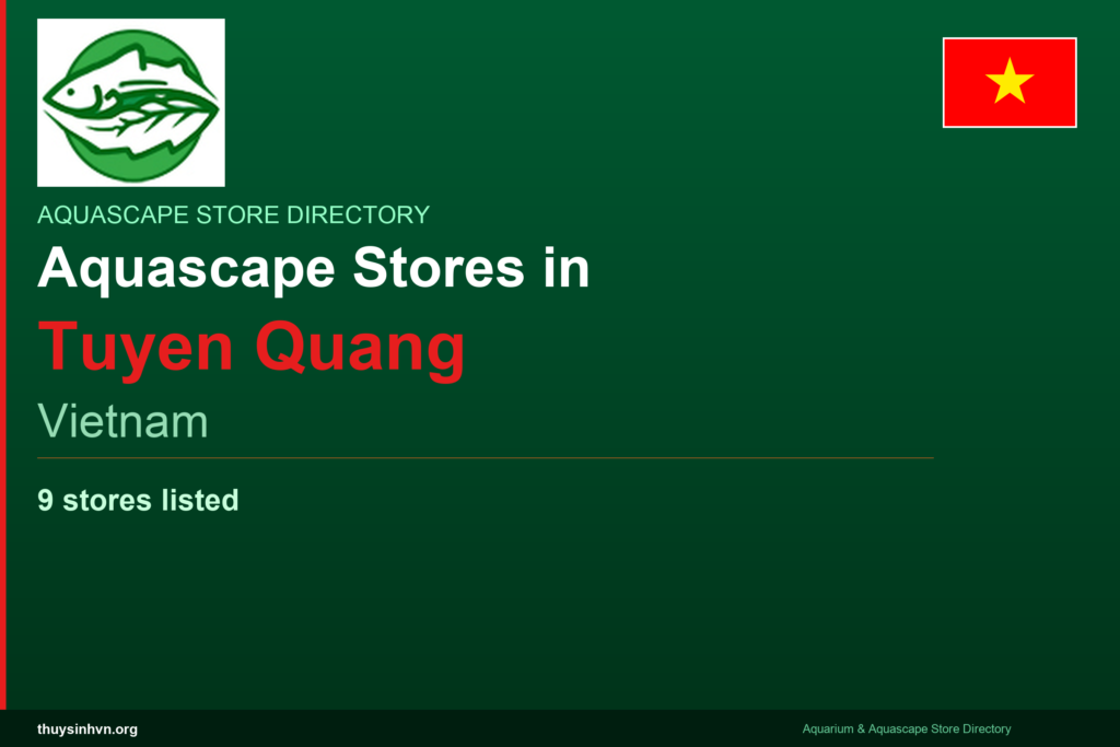 featured_tuyen-quang_en - Aquascape & Planted Tank Guide