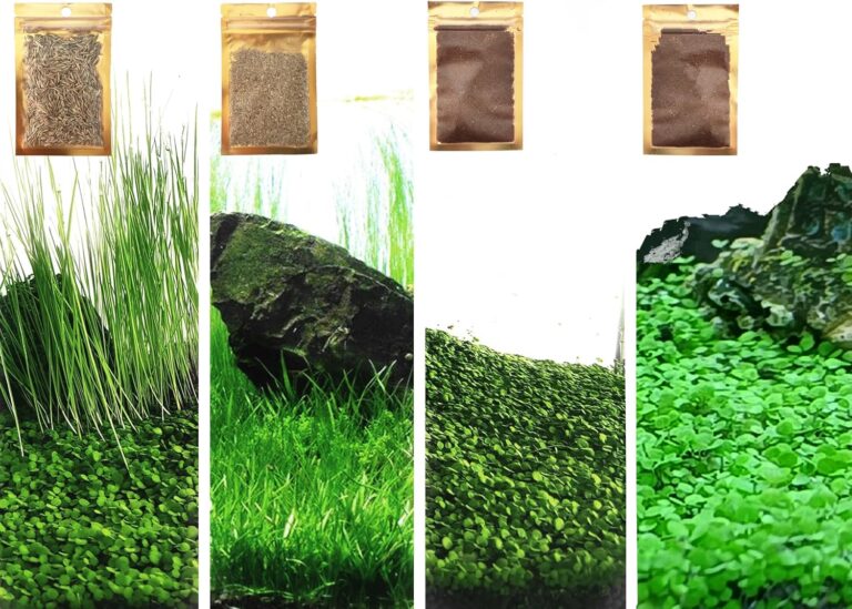4 in 1 Aquarium Plant S.e.e.ds, no Artificial Plastic Plant, Live Grass for Fish Tank, fit All Substrate (0.36ozTiny+0.36oz Long+0.36oz Short+0.36oz Big Dual) ZQV-003 - Aqua Plants Hub