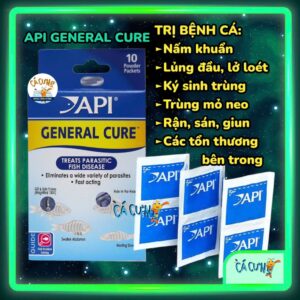 API General Cure - API MELAFIX Bacterial Infection Remedy Liquid Super ICK Cure Medication | Treats Bacterial Infections, Damaged Fins, Ulcers, White Spots - Aqua Plants Hub
