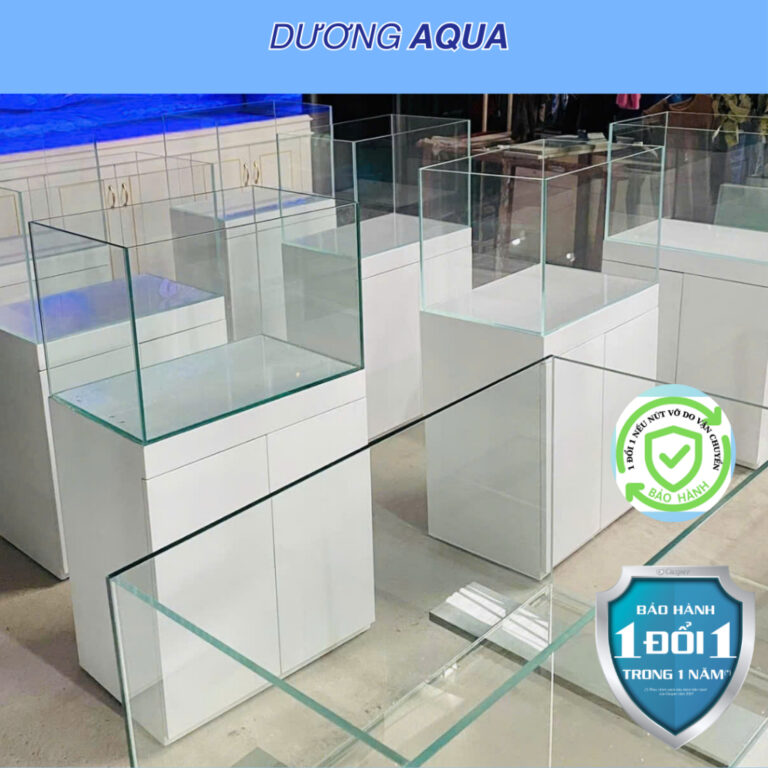 Bể kính Landen 60P rimless - Aqua Plants Hub
