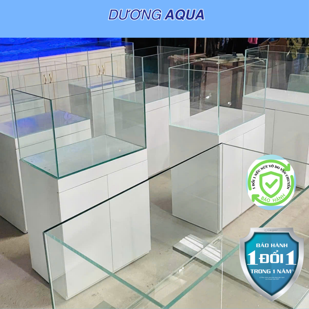 Bể kính Landen 60P rimless - Aqua Plants Hub