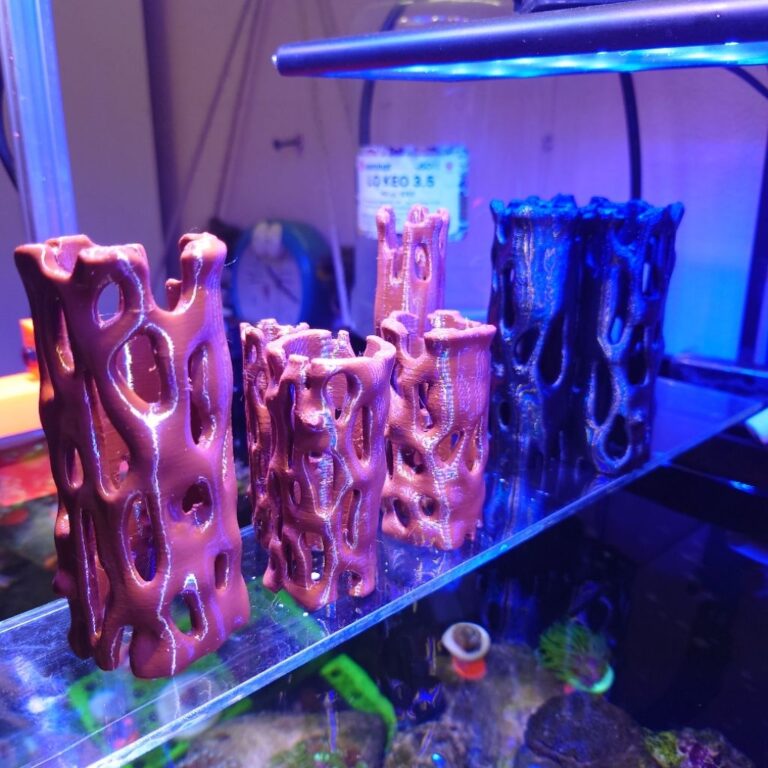 Cholla tube shrimp hide - Aqua Plants Hub