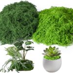 Fake Moss for Plants Indoor, 7OZ Dual-Color Artificial Moss for Crafts, Realistic Faux Moss for Terrariums, Fairy Gardens, Potted Plants, DIY Home Decor, Glass Jars, Light & Dark Green（200g） - Aqua Plants Hub