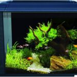 Fluval Flex 9 Gallon Glass Aquarium Kit - Aqua Plants Hub