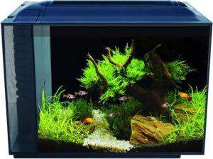 Fluval Spec V Aquarium Kit (16 gal.) - Aqua Plants Hub