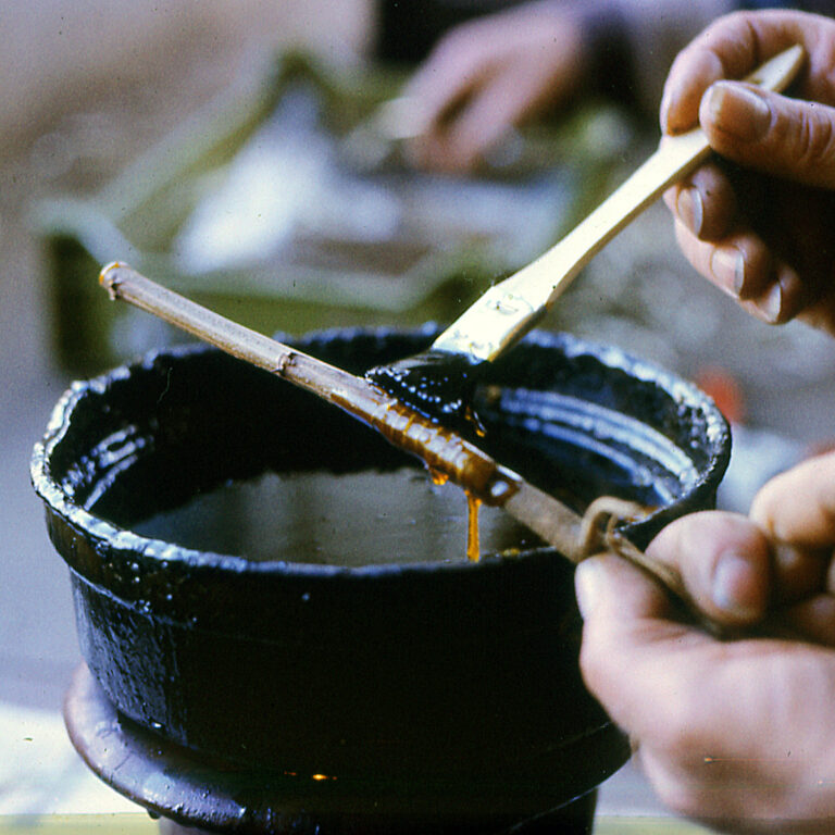 Keo liên da cho cây