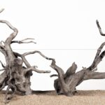 LANDEN Natural Spider Wood Aquarium Decorative Fish Tank Decorations, Driftwood Branches (12-16 Inch, XL) 4 Pcs - Aqua Plants Hub