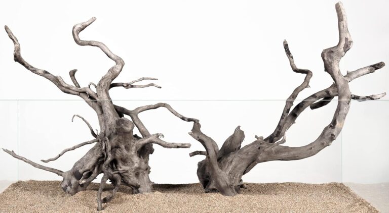 LANDEN Natural Spider Wood Aquarium Decorative Fish Tank Decorations, Driftwood Branches (12-16 Inch, XL) 4 Pcs - Aqua Plants Hub