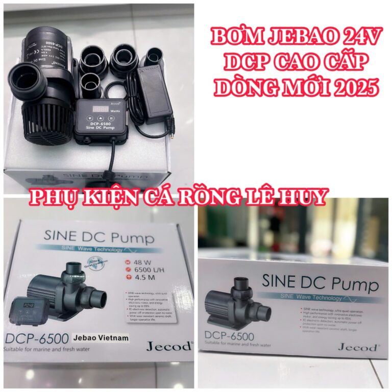 Máy bơm Jebao DCP-7000 - Aqua Plants Hub