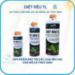 Rêu Fissidens fontanus - Aqua Plants Hub