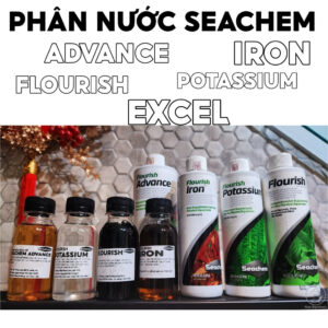 Seachem Flourish Excel - Aqua Plants Hub