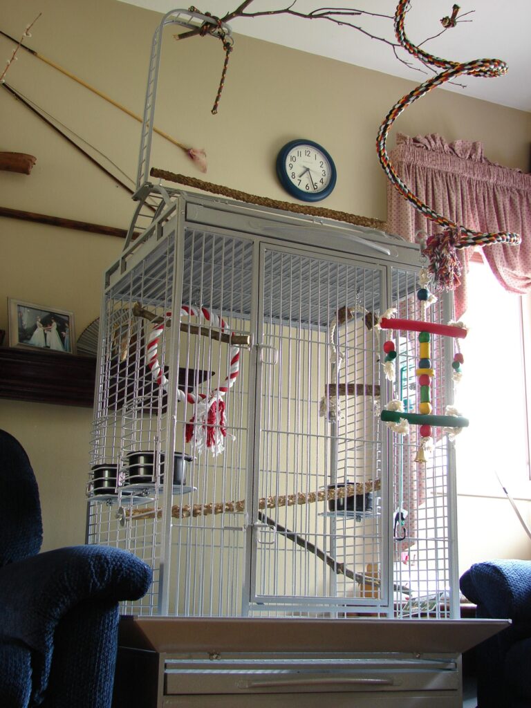 Birdcage