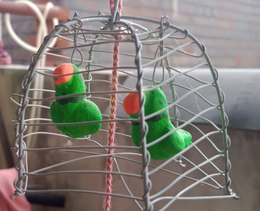 Colorful parrot toys hanging in a bird cage