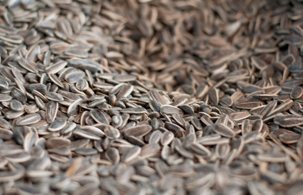 Pelleted bird food