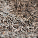 Pelleted bird food