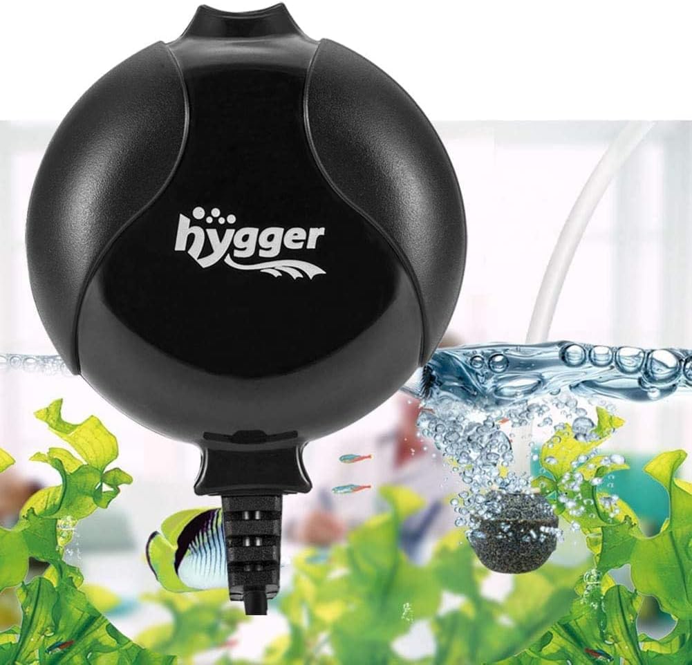 Aquarium air pump and air stone producing bubbles among tetras and plants